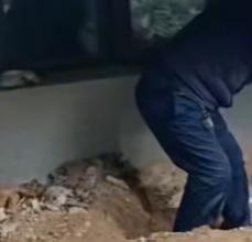 股票炒股配资平台 河南长垣女子购买一楼房子在院子里挖出疑似人体骨头，警方介入！物业：多方协调中