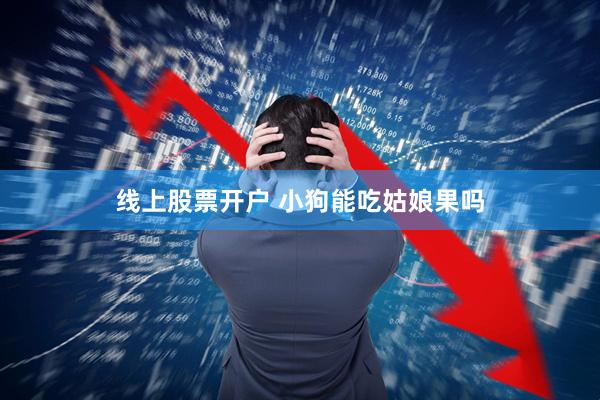 线上股票开户 小狗能吃姑娘果吗
